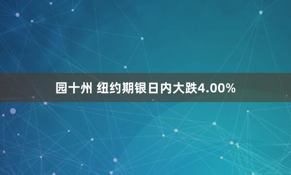 园十州 纽约期银日内大跌4.00%